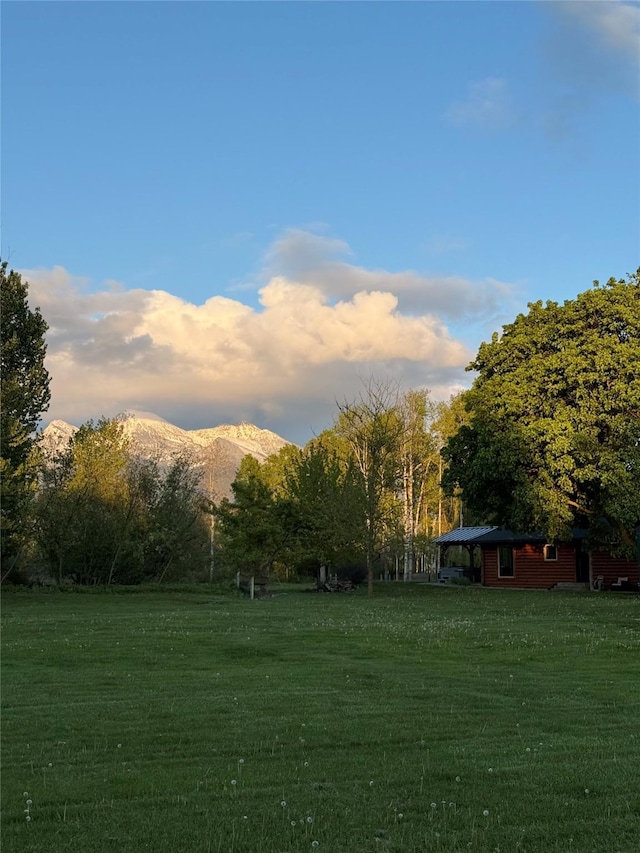 35966 Dublin Gulch Rd, Saint Ignatius, MT 59865 - view of grassy yard with a mountain view