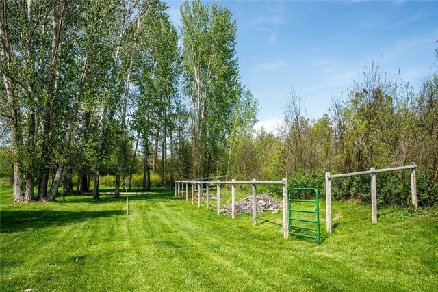35966 Dublin Gulch Rd, Saint Ignatius, MT 59865 - view of grassy yard