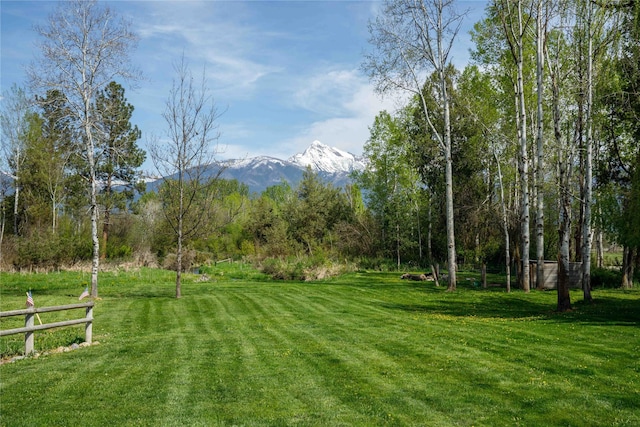 35966 Dublin Gulch Rd, Saint Ignatius, MT 59865 - view of yard with a mountain view