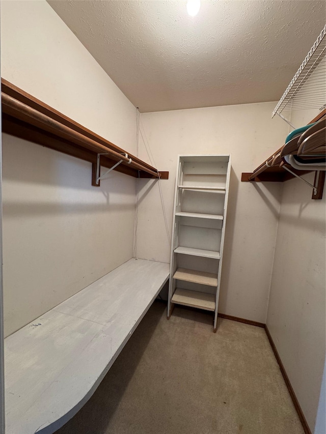 4900 Clearview Way, Missoula, MT 59803 - walk in closet featuring carpet floors