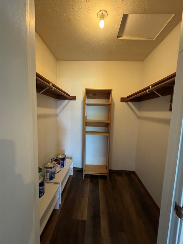 4900 Clearview Way, Missoula, MT 59803 - spacious closet featuring wood finished floors