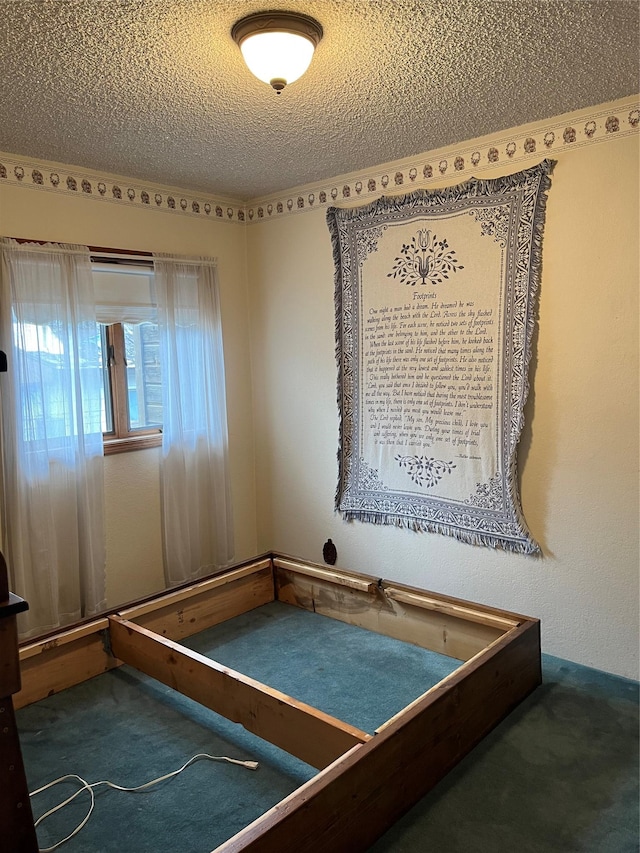 156 Clary Ave W, Geraldine, MT 59446 - unfurnished bedroom featuring a textured ceiling and carpet