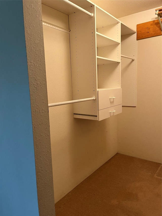 156 Clary Ave W, Geraldine, MT 59446 - spacious closet featuring carpet floors