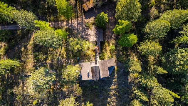 1487 Lion Mountain Dr, Whitefish, MT 59937 - aerial view of property's location