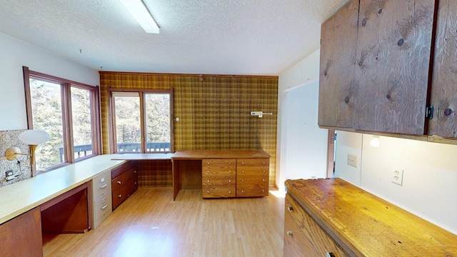 1487 Lion Mountain Dr, Whitefish, MT 59937 - home office featuring light wood-type flooring, a textured ceiling, and built in study area