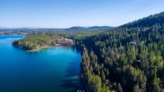 1487 Lion Mountain Dr, Whitefish, MT 59937 - aerial view of a heavily wooded area and a water and mountain view