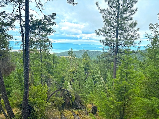 NHN Boon Rd, Somers, MT 59932