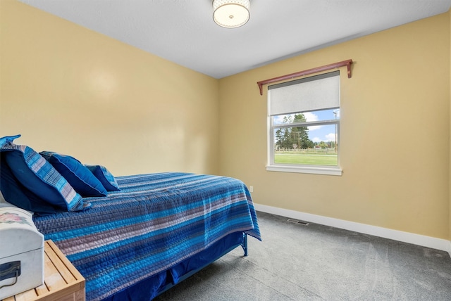 500 Bass Ln, Corvallis, MT 59828 - bedroom featuring baseboards and carpet floors