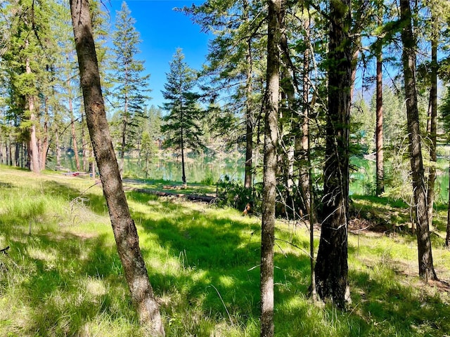 45 Osprey Dr E, Thompson Falls, MT 59873