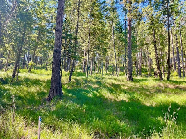 45 Osprey Dr E, Thompson Falls, MT 59873