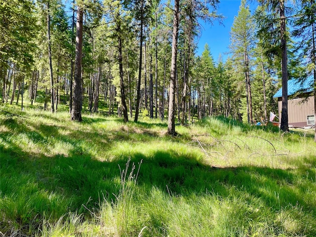 45 Osprey Dr E, Thompson Falls, MT 59873