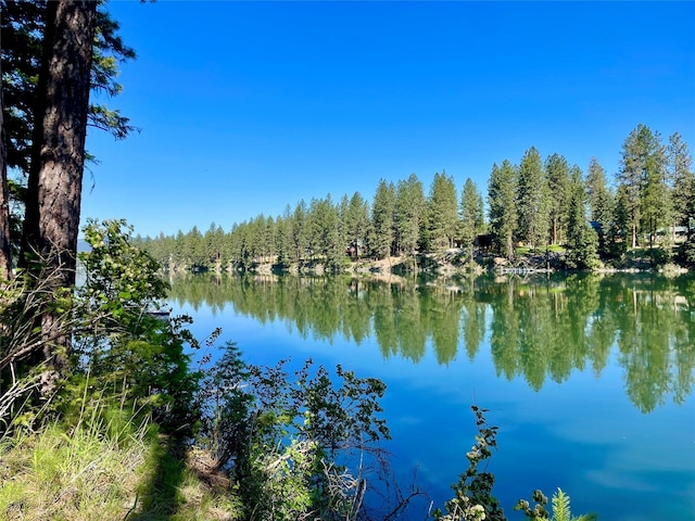45 Osprey Dr E, Thompson Falls, MT 59873