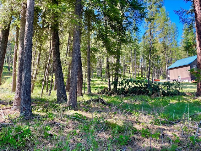 45 Osprey Dr E, Thompson Falls, MT 59873