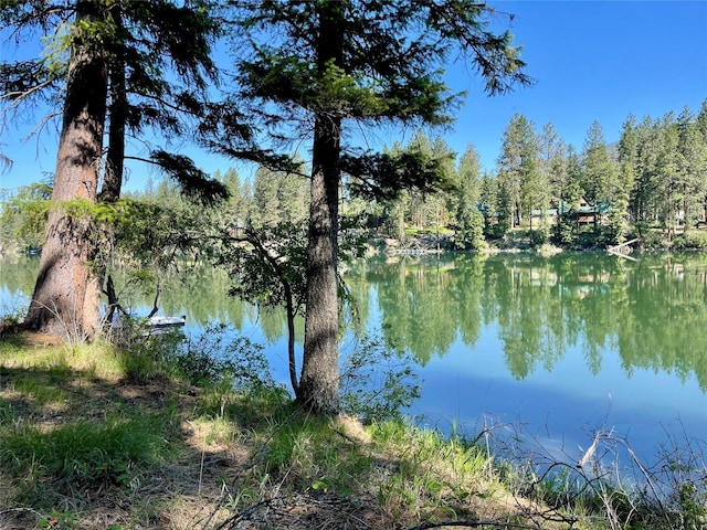 45 Osprey Dr E, Thompson Falls, MT 59873