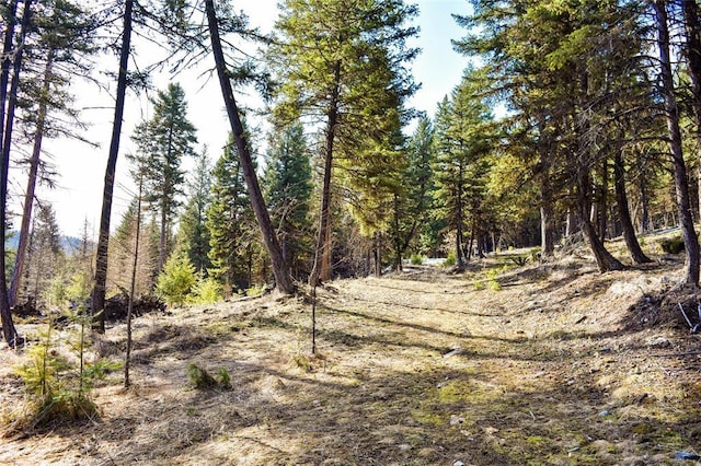 270 Tomahawk Trl, Fortine, MT 59918