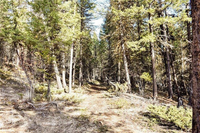 270 Tomahawk Trl, Fortine, MT 59918