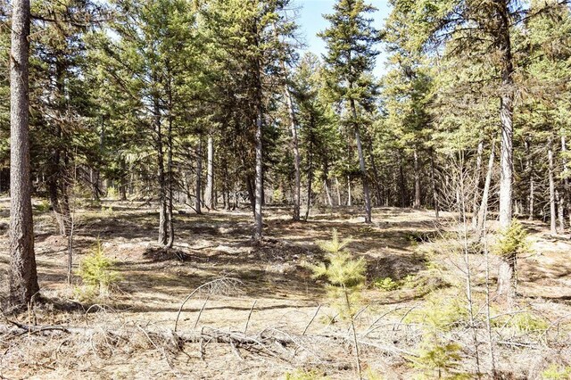 270 Tomahawk Trl, Fortine, MT 59918
