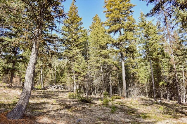 270 Tomahawk Trl, Fortine, MT 59918