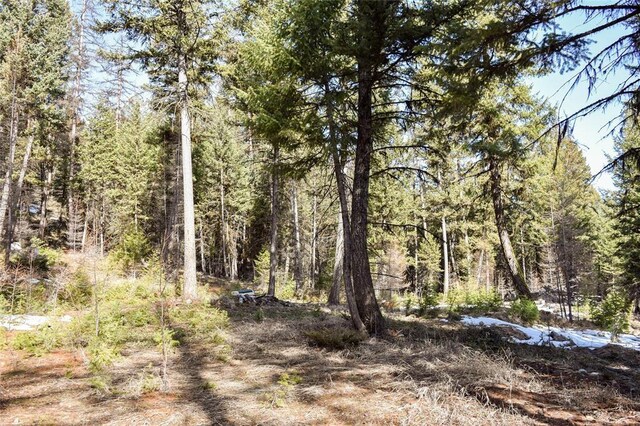 270 Tomahawk Trl, Fortine, MT 59918