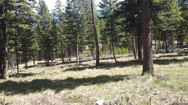 270 Tomahawk Trl, Fortine, MT 59918