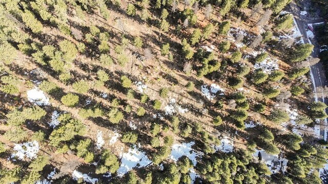 270 Tomahawk Trl, Fortine, MT 59918