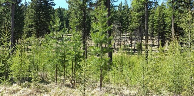 270 Tomahawk Trl, Fortine, MT 59918