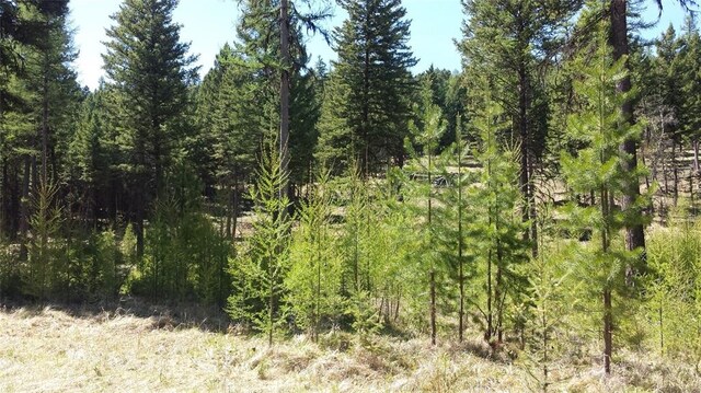 270 Tomahawk Trl, Fortine, MT 59918