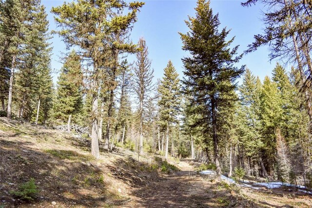 270 Tomahawk Trl, Fortine, MT 59918