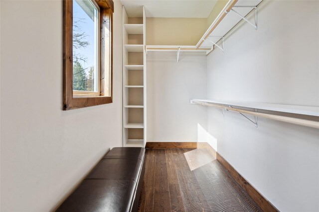 200 Lakeview Ter, Marion, MT 59925 - walk in closet with dark wood finished floors