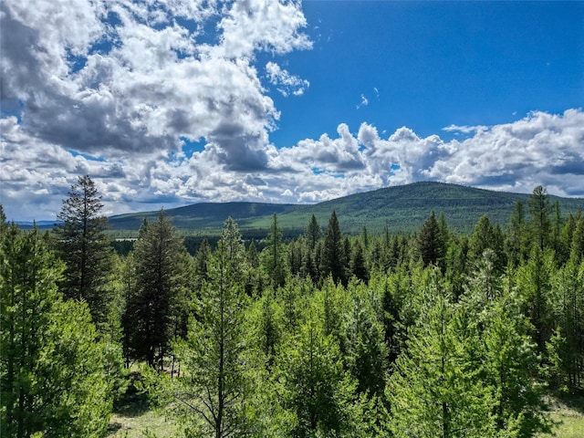 200 Lakeview Ter, Marion, MT 59925 - mountain view with a forest