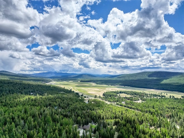200 Lakeview Ter, Marion, MT 59925 - view of mountain backdrop featuring a forest