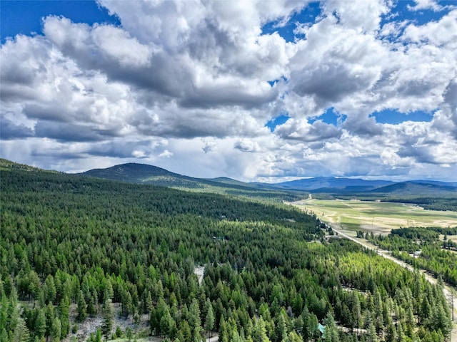 200 Lakeview Ter, Marion, MT 59925 - view of mountain background featuring a heavily wooded area