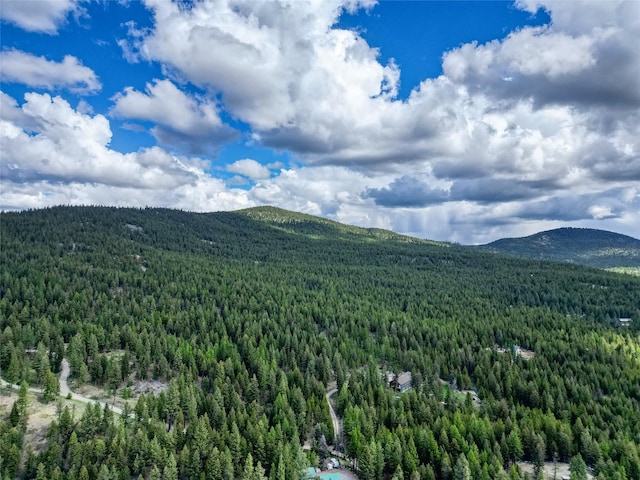 200 Lakeview Ter, Marion, MT 59925 - view of mountain backdrop featuring a forest