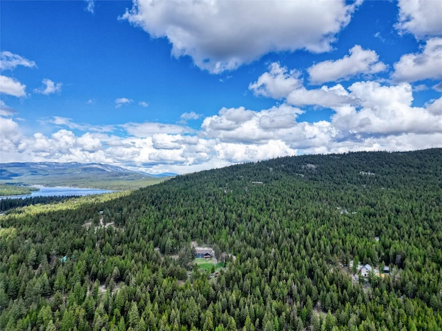 200 Lakeview Ter, Marion, MT 59925 - drone / aerial view of a forest and a water and mountain view