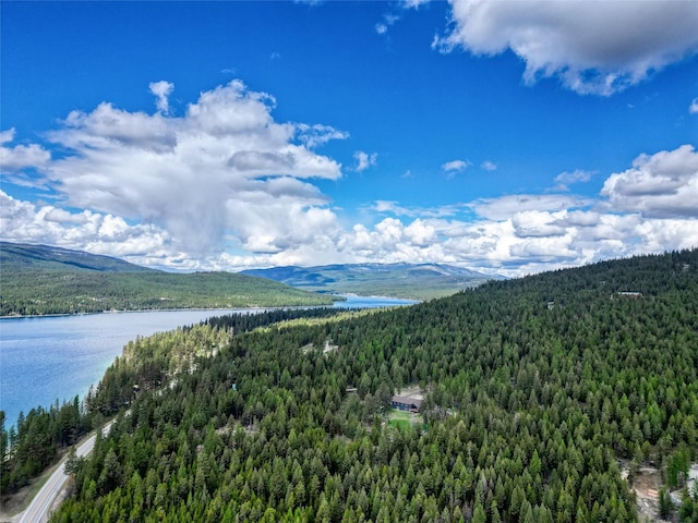 200 Lakeview Ter, Marion, MT 59925 - view of mountain backdrop featuring a forest and a nearby body of water