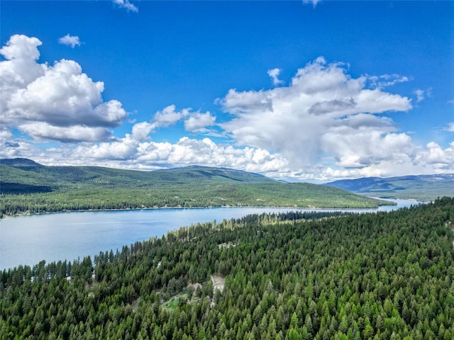 200 Lakeview Ter, Marion, MT 59925 - view of mountain backdrop featuring a heavily wooded area and a nearby body of water