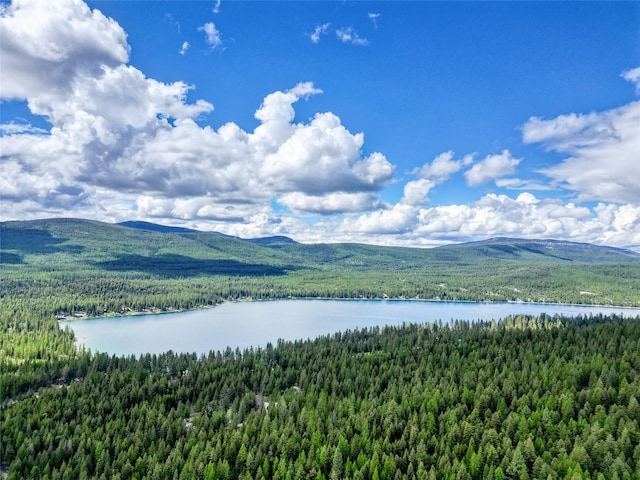 200 Lakeview Ter, Marion, MT 59925 - view of mountain background featuring a heavily wooded area and a nearby body of water