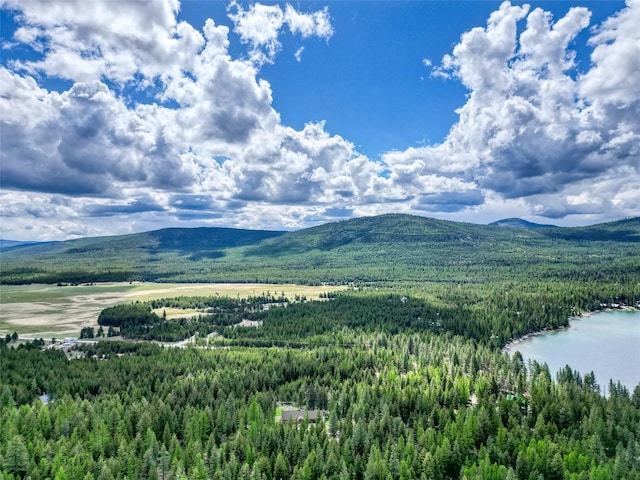200 Lakeview Ter, Marion, MT 59925 - mountain view with a heavily wooded area and a large body of water