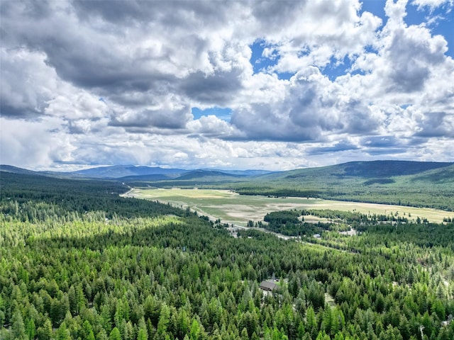 200 Lakeview Ter, Marion, MT 59925 - mountain view featuring a heavily wooded area