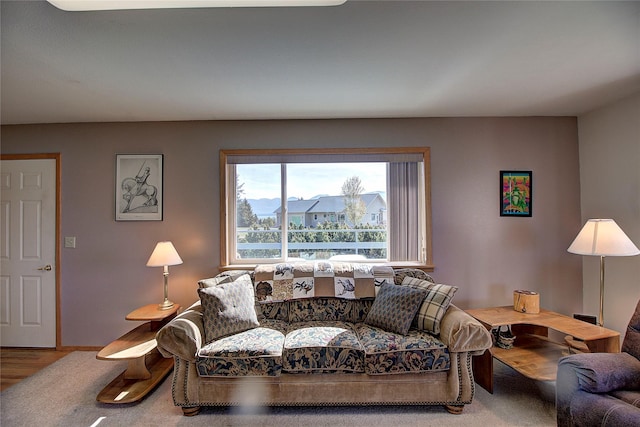 living room featuring wood finished floors and baseboards