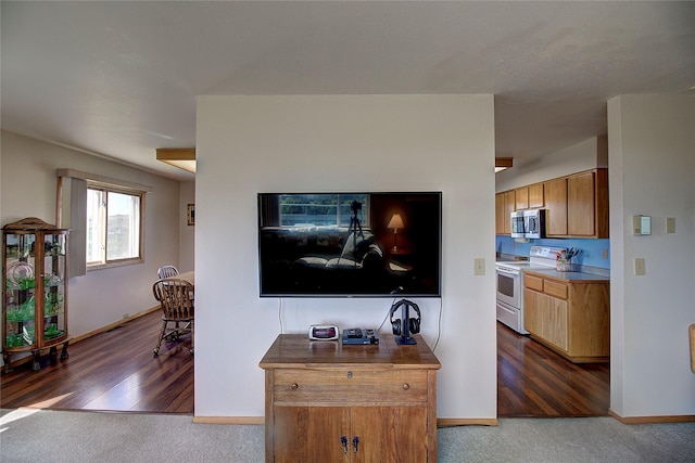 carpeted living area featuring baseboards and wood finished floors