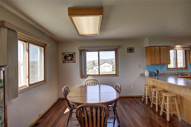 dining space featuring healthy amount of natural light, dark wood-type flooring, and baseboards