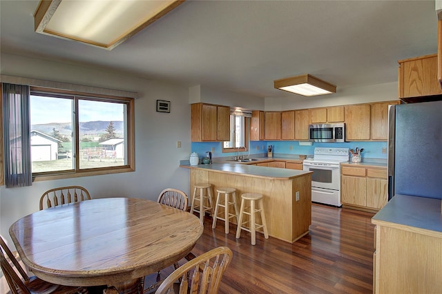 kitchen featuring appliances with stainless steel finishes, a peninsula, dark wood-type flooring, light countertops, and a sink