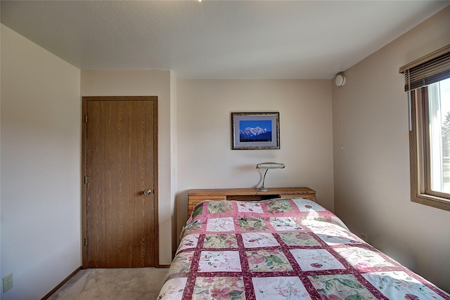 bedroom featuring carpet