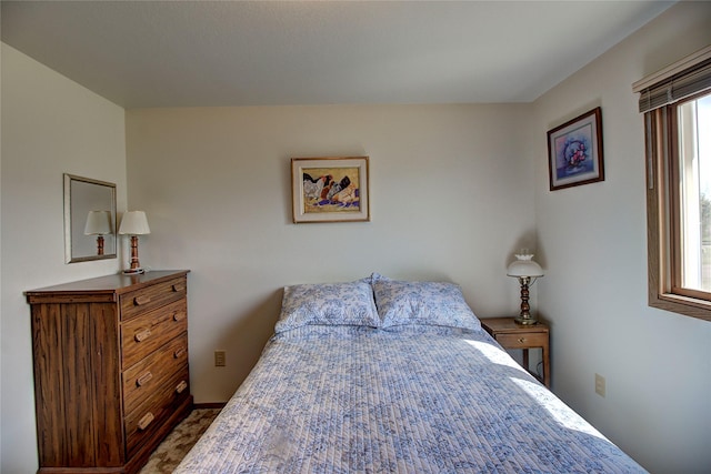 bedroom with carpet flooring