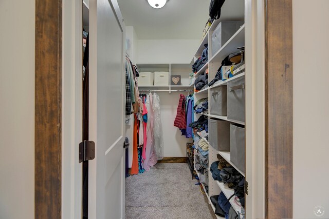 5235 Creekside Ln, Helena, MT 59601 - spacious closet with carpet flooring