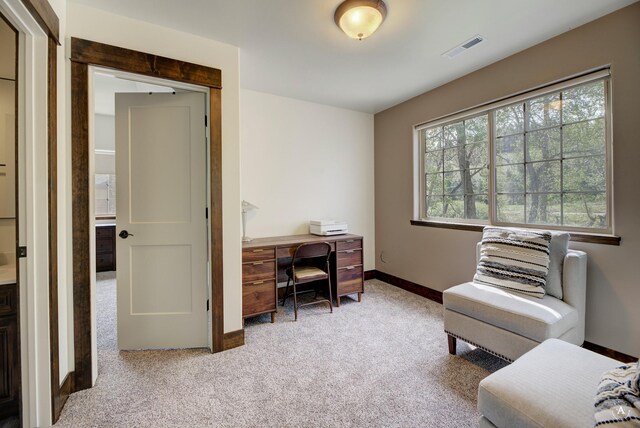 5235 Creekside Ln, Helena, MT 59601 - office area with carpet floors and baseboards