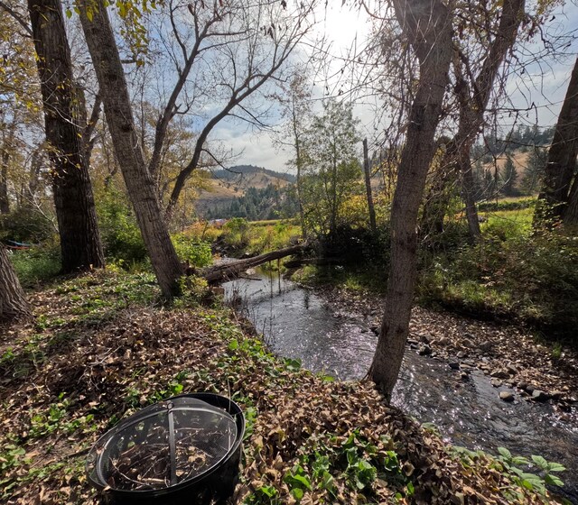 5235 Creekside Ln, Helena, MT 59601 - view of yard with a mountain view