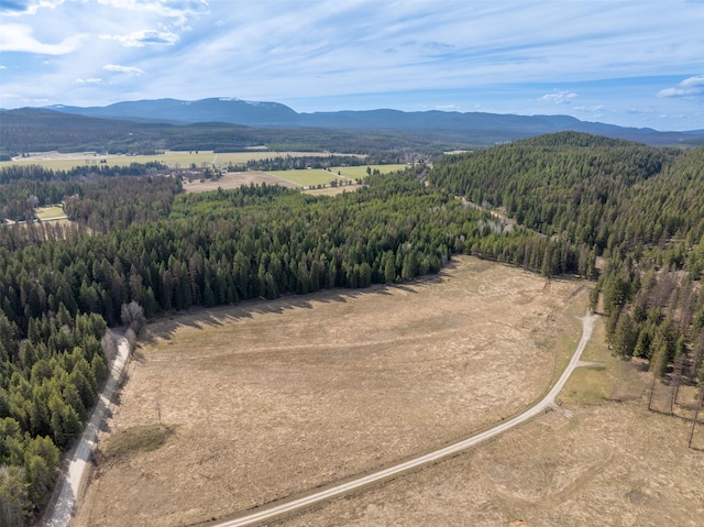 340 Tamarack Creek Rd, Whitefish, MT 59937