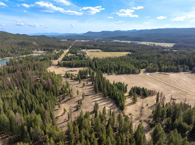 340 Tamarack Creek Rd, Whitefish, MT 59937